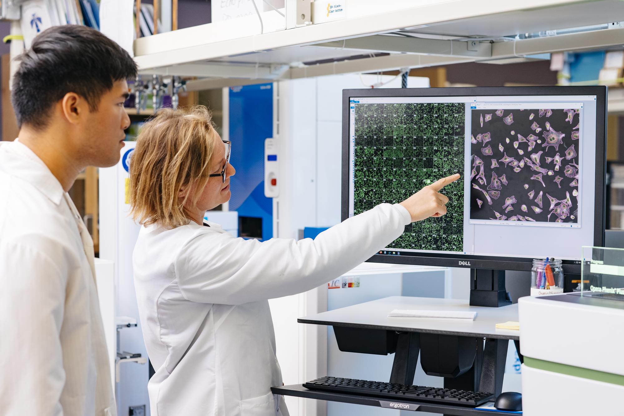 Two scientists studying and screen with images on them.