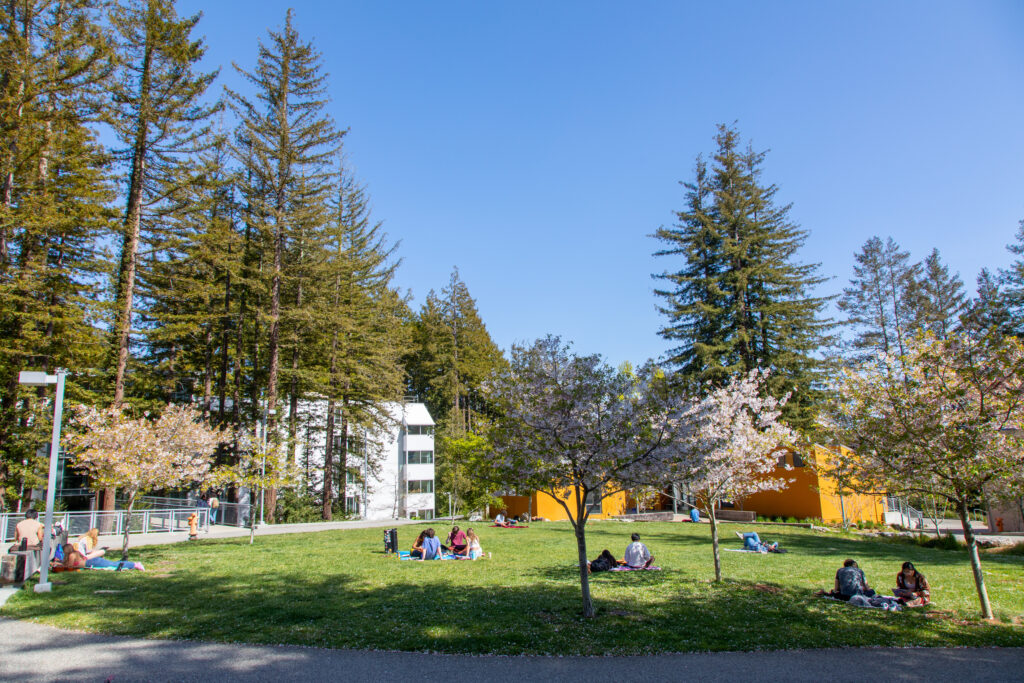 People sitting outside at Merrill College on the grass with buildings and trees all around.