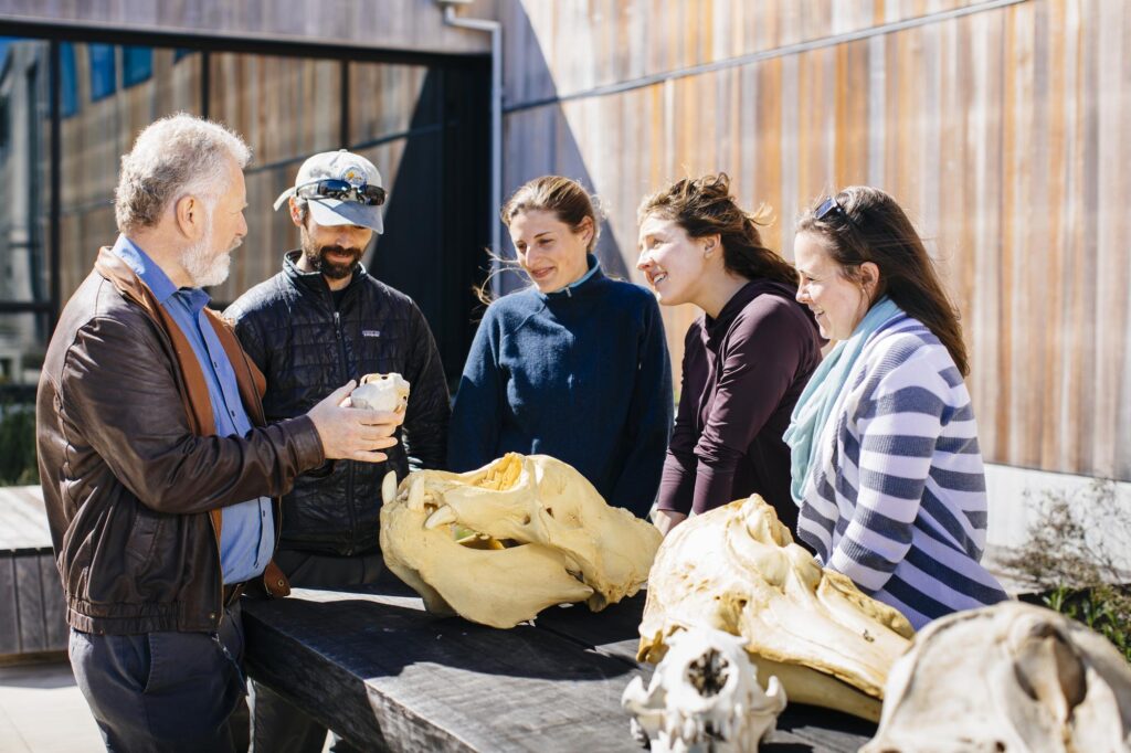 Professor talking to four grad students about the animal skeletons which are on the table.