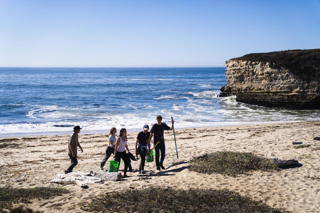 Students on the beach collecting samples.