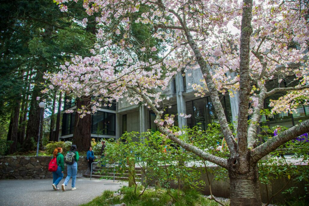 Students walking in to McHenry library 